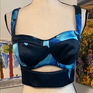 NWT Nicholas Crop Bustier